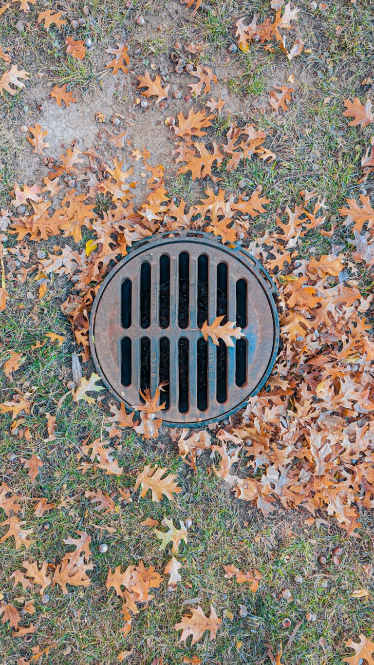 Round metal drain grate in grass surrounded by autumn leaves